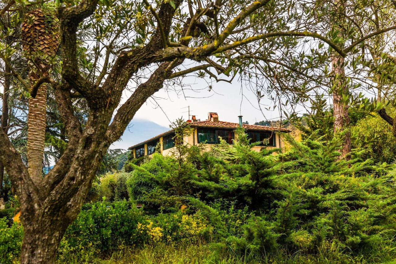 Casa Matilde Bed & Breakfast Mommio Eksteriør bilde